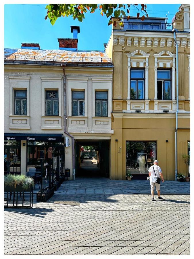 Apartaments In The City Centre Kaunas Exterior foto